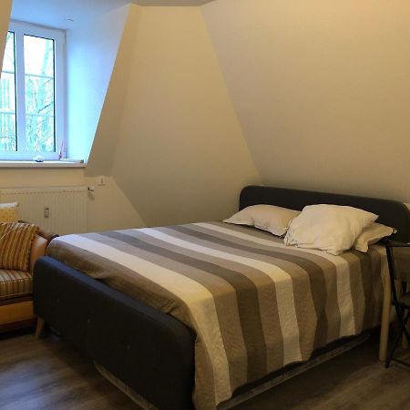 Logement Entier Proche Gare Et Centre Ville Apartment Мюлуз Екстериор снимка