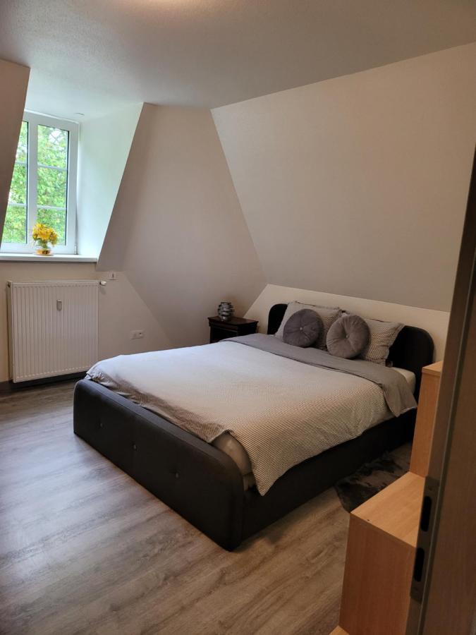 Logement Entier Proche Gare Et Centre Ville Apartment Мюлуз Екстериор снимка